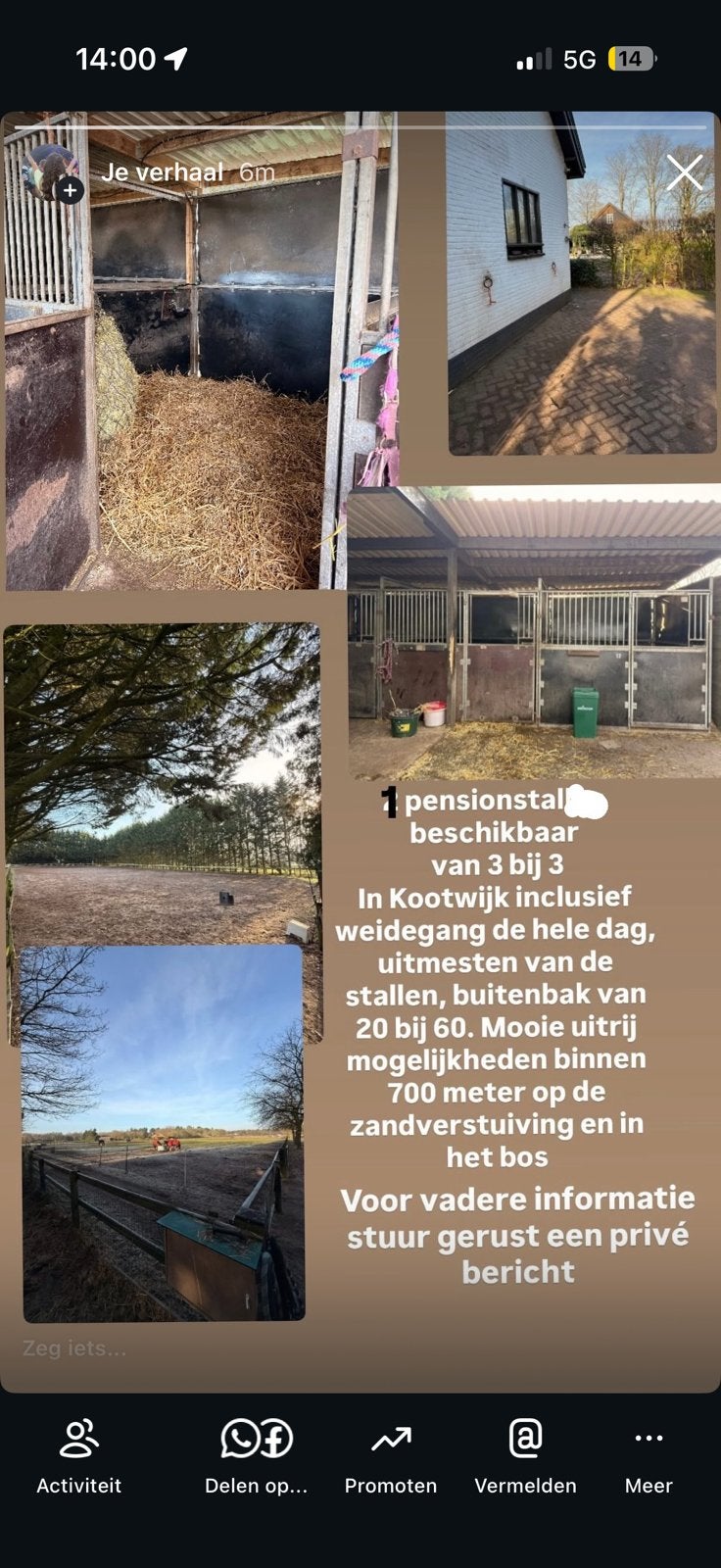 1 pensionstal beschickbaar, Dieren en Toebehoren, Stalling en Weidegang, Weidegang