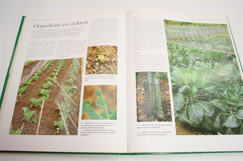 Het Moestuinboek — Groot Formaat, Rijk Geïllustreerd, Boeken, Ophalen of Verzenden, Gelezen, Interieur en Design