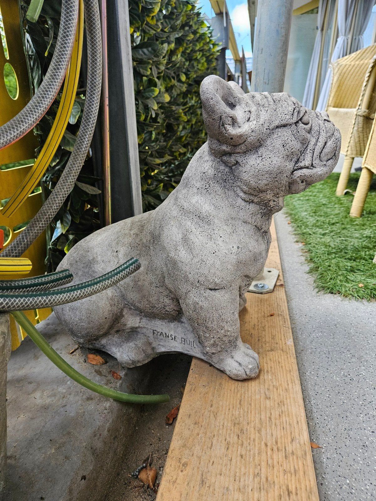 Decoratief beeld Franse Bulldog, Verzamelen, Beelden en Beeldjes, Ophalen, Zo goed als nieuw, Dier