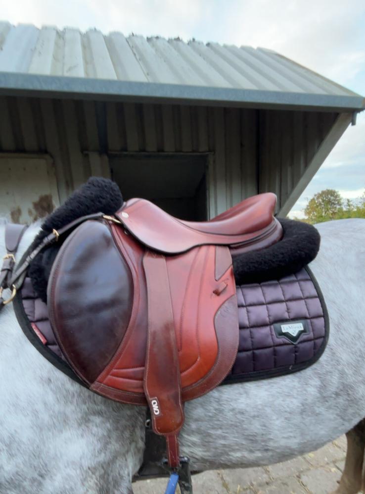 Cwd classic zadel te koop, Dieren en Toebehoren, Ophalen, Gebruikt, Springen