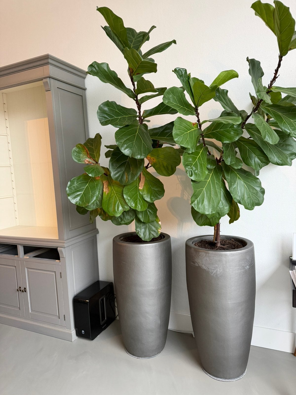 Grote bloempotten 2x voor planten, Ophalen, Steen, Gebruikt, 40 cm of meer