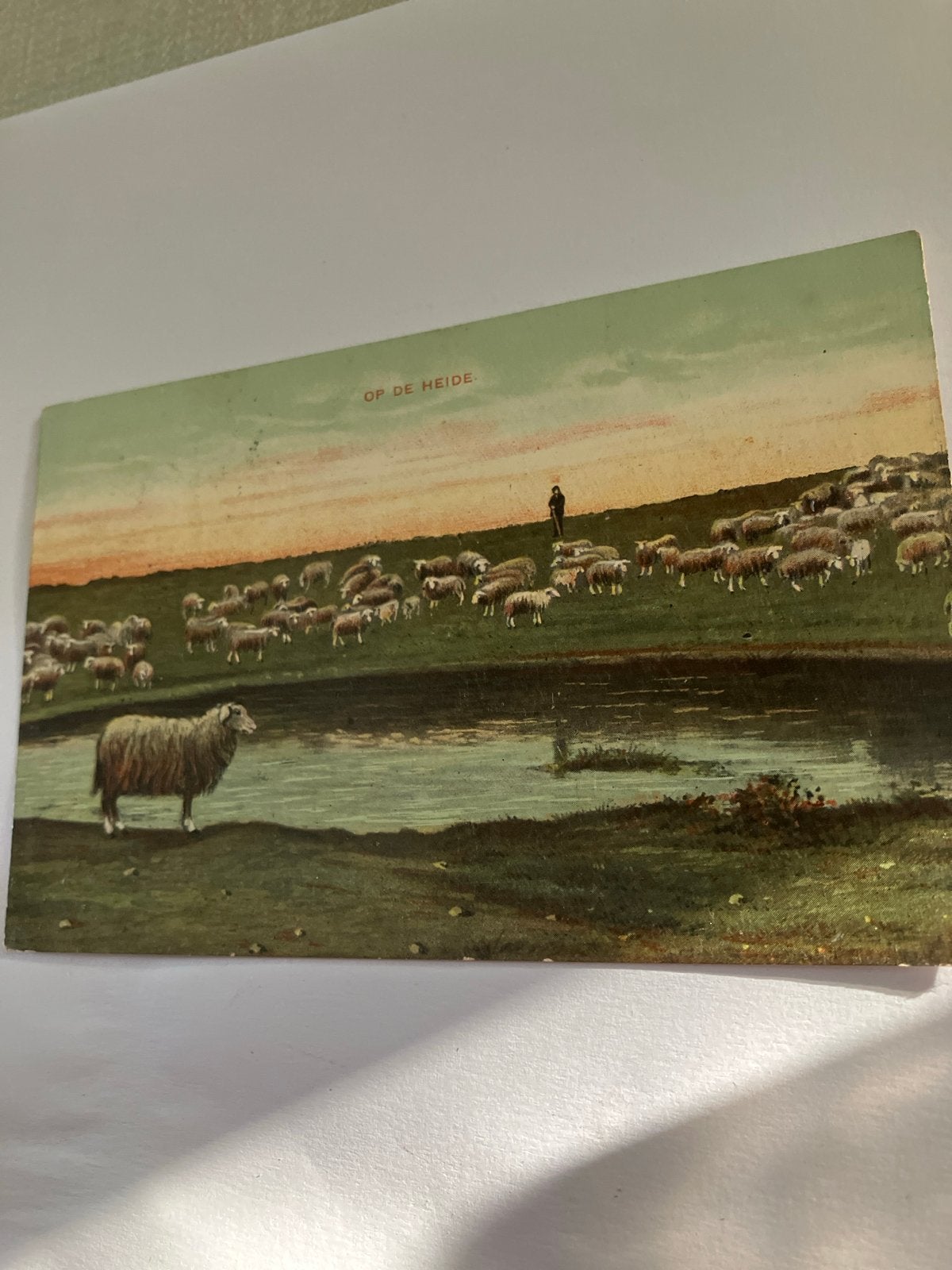 Antieke briefkaart 'Op de Heide' met schapen en herder, Ophalen of Verzenden, Voor 1920, Gelopen, Drenthe