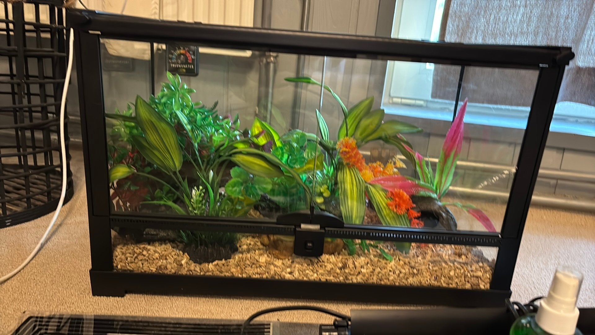 Terrarium, Ophalen, Zo goed als nieuw