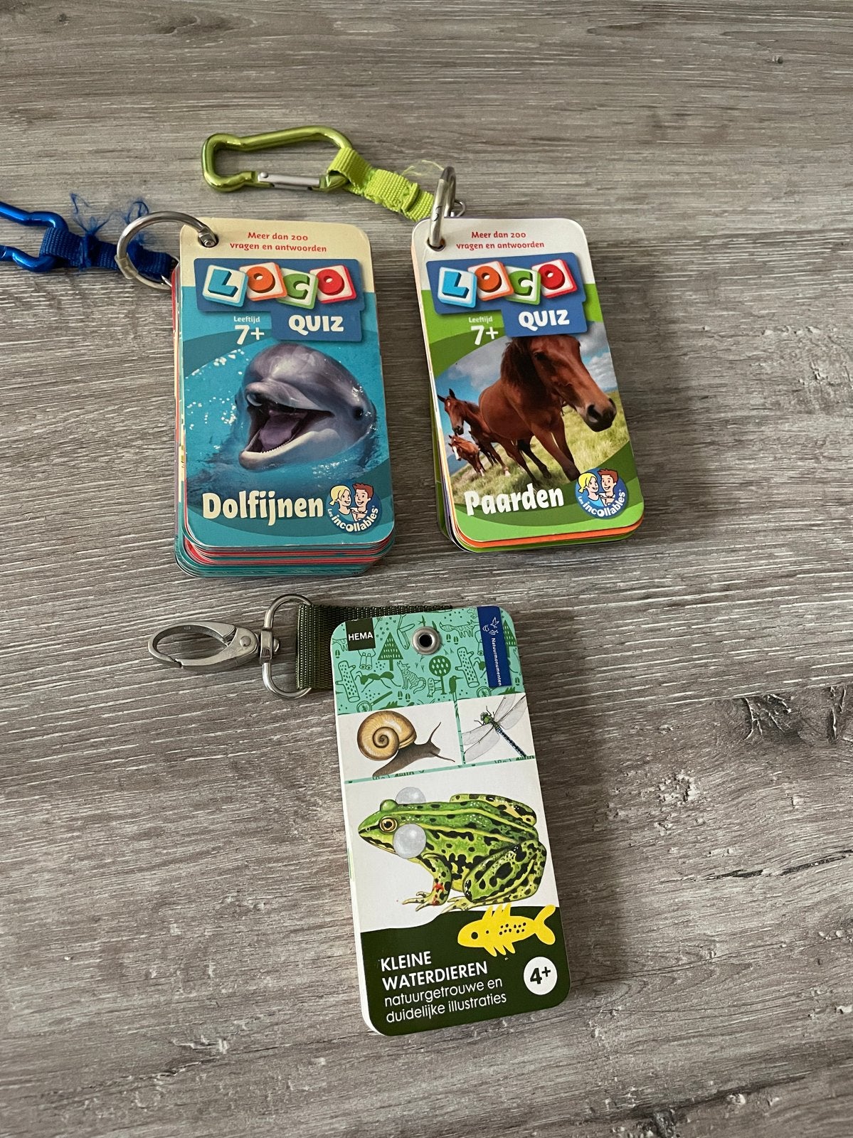 Loco quiz 2x Dolfijnen & Paarden + HEMA kleine waterdieren, Ophalen of Verzenden, Gebruikt, Puzzelen
