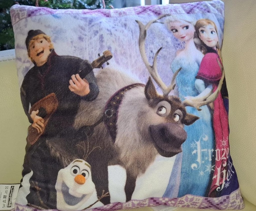 Frozen kussen, Ophalen, Zo goed als nieuw, Overige typen