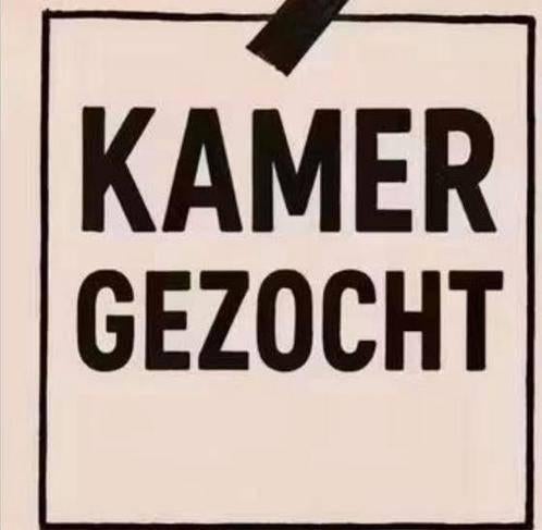 Met spoed kamer gezocht!, Huizen en Kamers, Op zoek naar een kamer