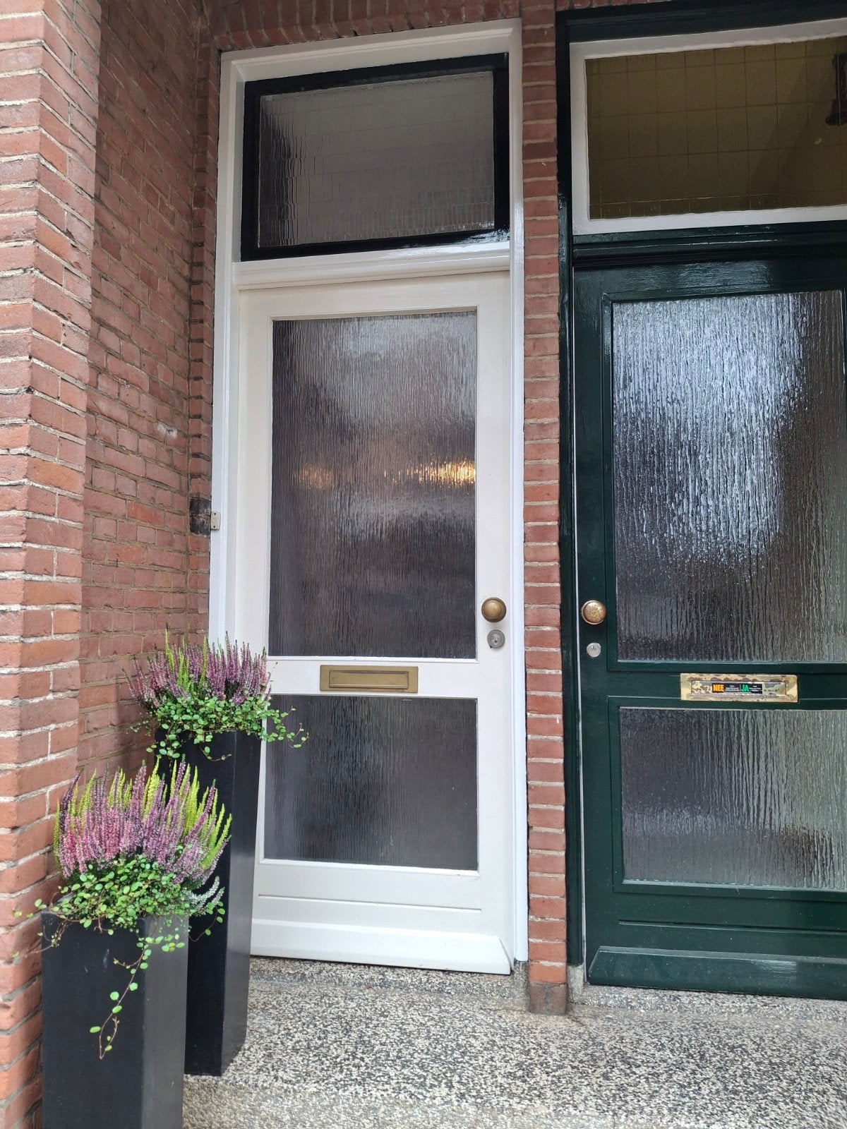 Voordeur met glas, Ophalen, Gebruikt, 80 tot 100 cm, Buitendeur