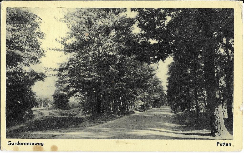 Putten, Garderenseweg, bos, Verzenden, 1940 tot 1960, Gelopen, Gelderland