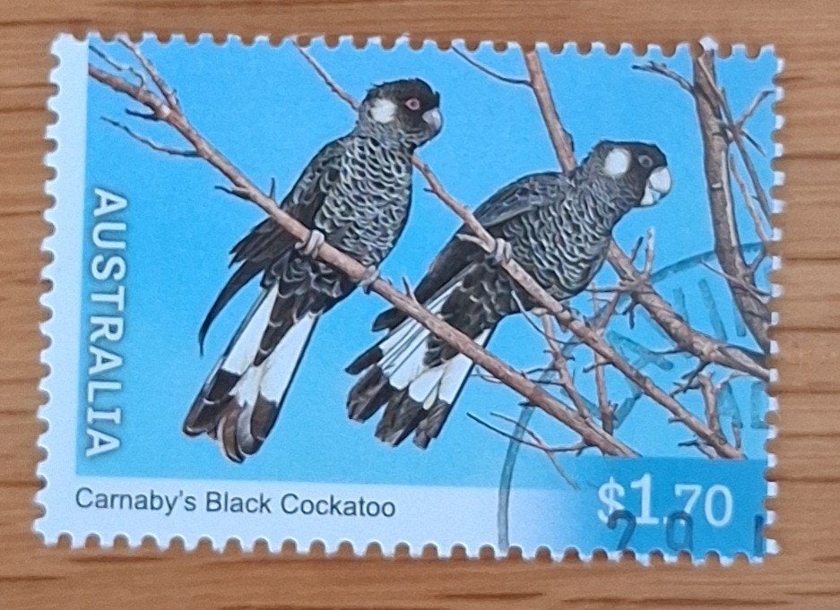 AUSTRALIË 2026:ENDANGERED BIRDS