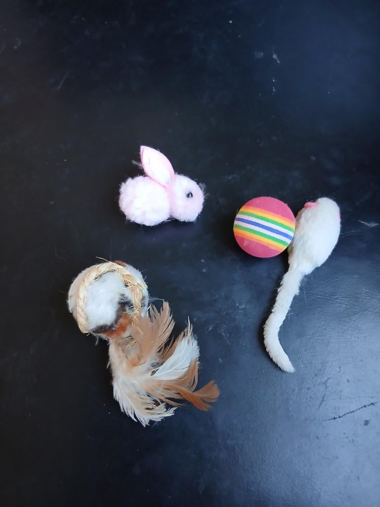 Vier leuke katten speeltjes nr 786, Dieren en Toebehoren, Kattenspeelgoed, Ophalen of Verzenden, Zo goed als nieuw, Speelmuis