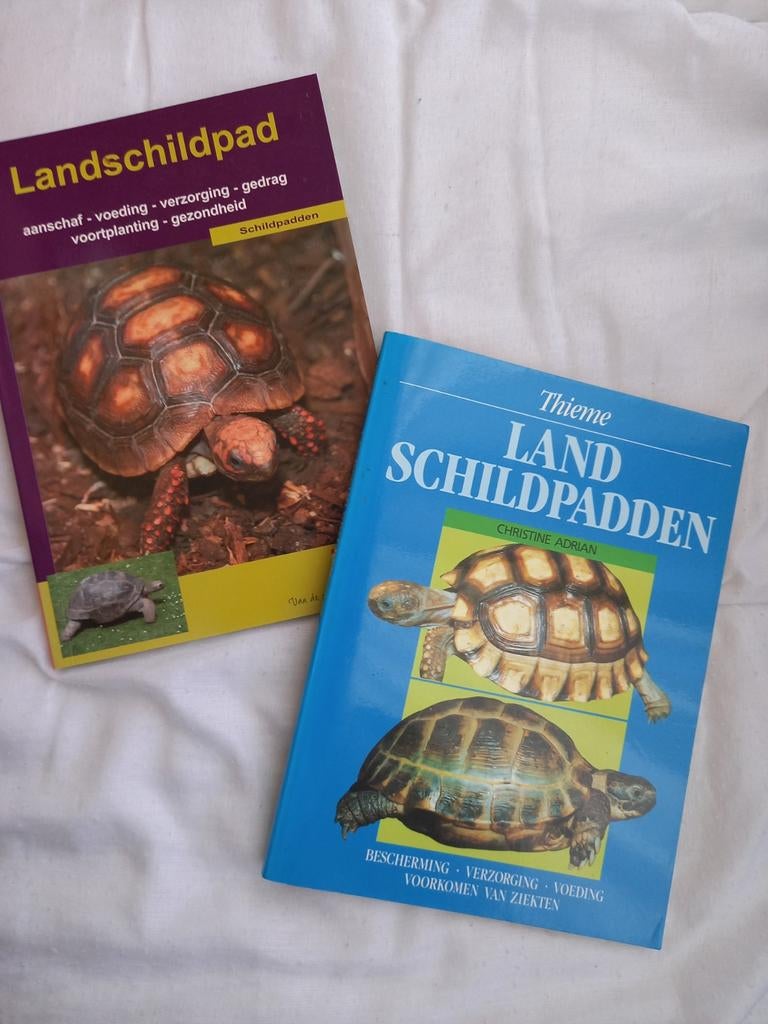 h12 2 Boekjes over landschildpadden, Ophalen of Verzenden, Zo goed als nieuw, Reptielen of Amfibieën