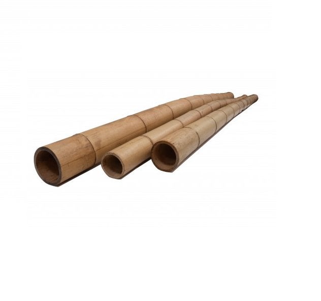 Bamboe paal blank of zwart 240 cm, Ophalen, Nieuw, 180 tot 250 cm, Palen