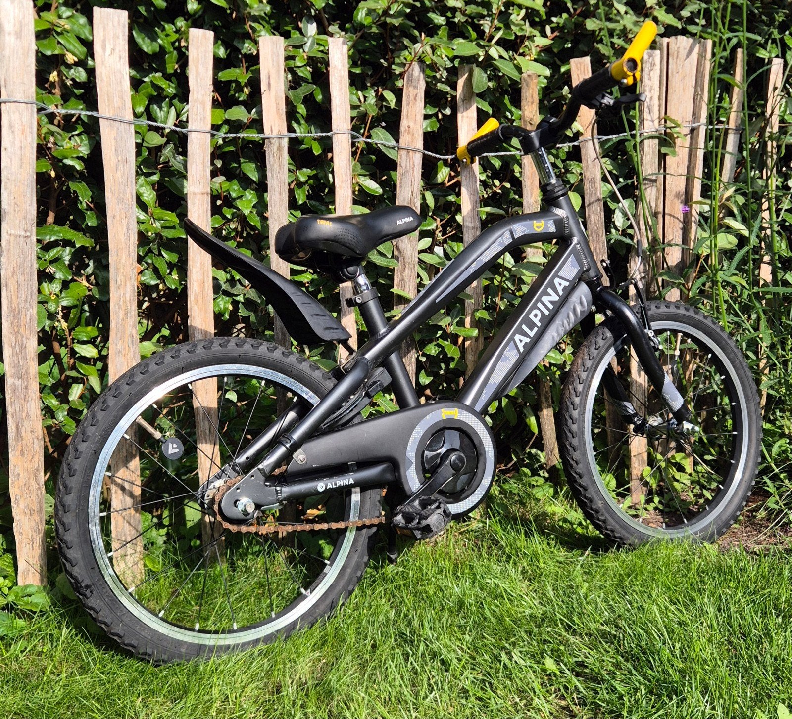 Alpina kinderfiets 18 inch, Ophalen, Terugtraprem, 16 tot 20 inch, Alpina