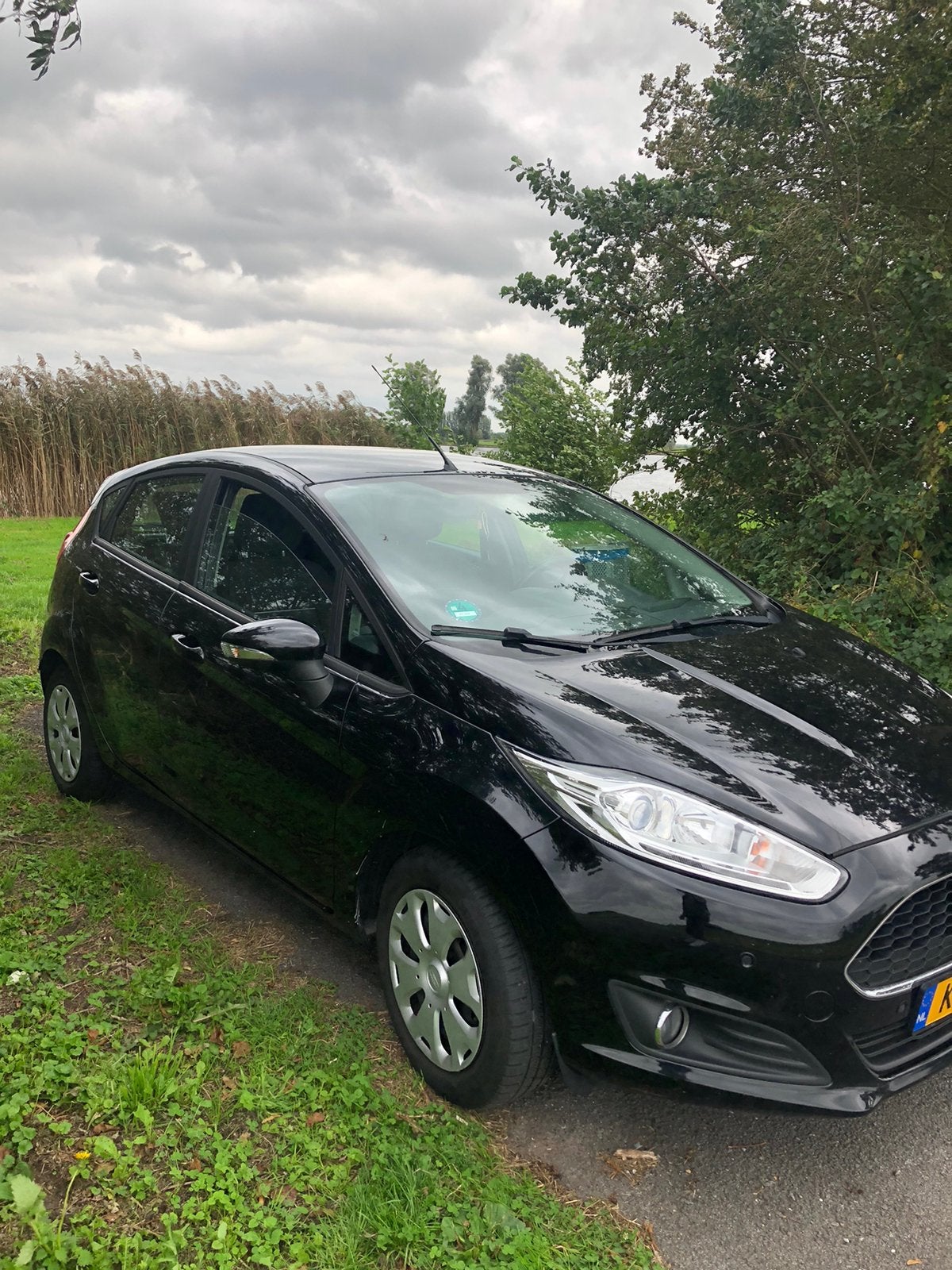 Ford Fiësta 1.5 Tdci 70KW 5DR 2016 Zwart, Voorwielaandrijving, 1036 kg, 96 €/maand, Zwart
