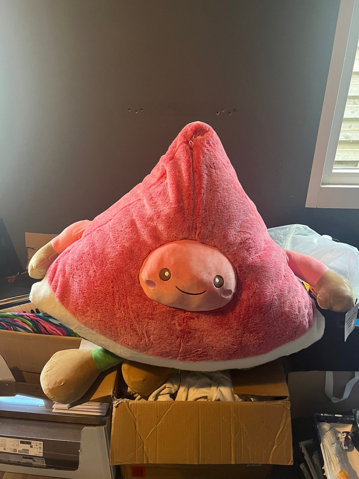 Grote pluche knuffel watermeloen, Overige karakters, Overige typen, Ophalen of Verzenden, Zo goed als nieuw