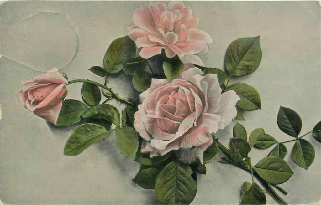 381-328-037 Bloem, Verzenden, Voor 1920, Overige thema's