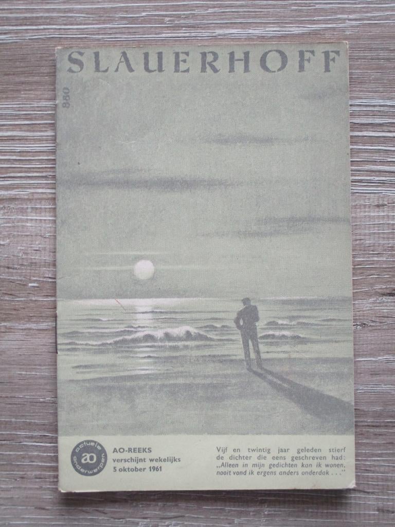 AO 880 Slauerhoff, Ophalen of Verzenden, Gelezen, Europa