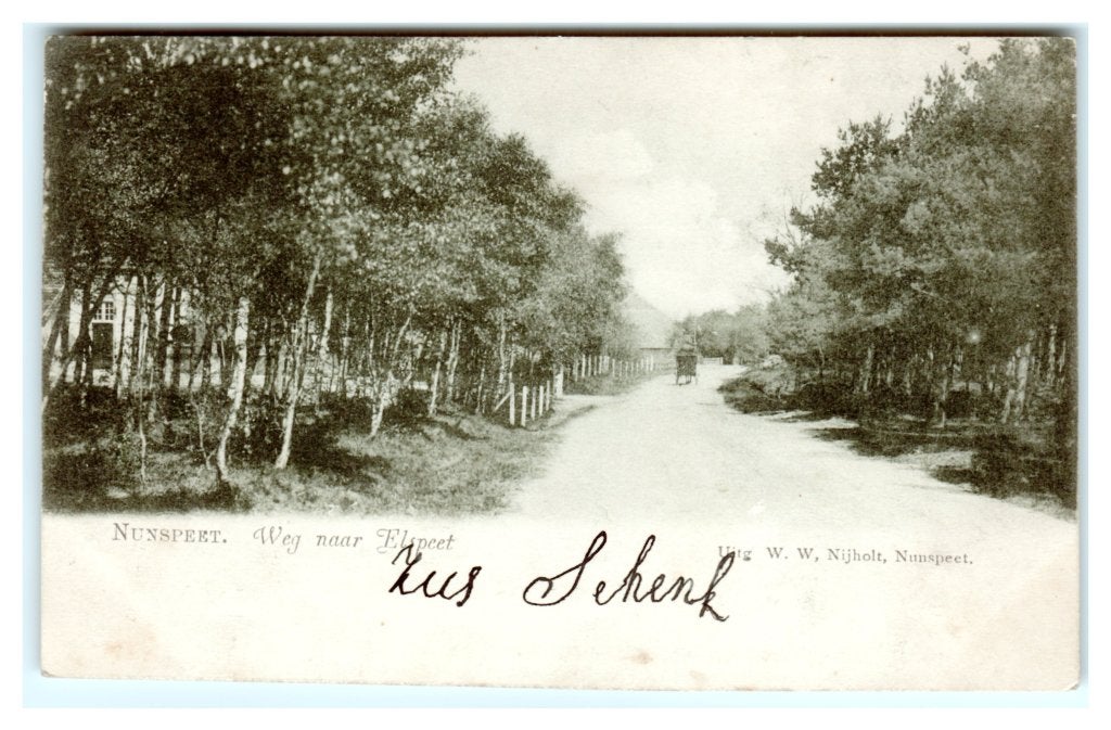 Nunspeet, Weg naar Elspeet, Ophalen of Verzenden, Voor 1920, Gelopen, Gelderland