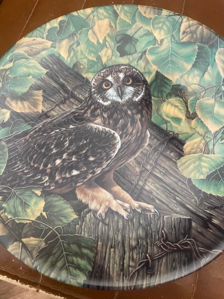 Vintage Knowles "The Short-Eared Owl" sierbord 1990, Antiek en Kunst, Antiek | Wandborden en Tegels, Ophalen of Verzenden