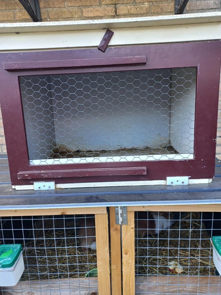 Mooi konijnen hok 25 euro, Dieren en Toebehoren, Knaagdieren en Konijnen | Hokken en Kooien, Ophalen of Verzenden, 110 cm of meer