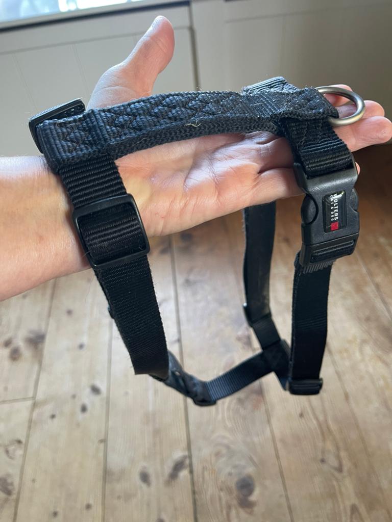 Honden tuig L, Ophalen of Verzenden, Gebruikt, Hondenriem