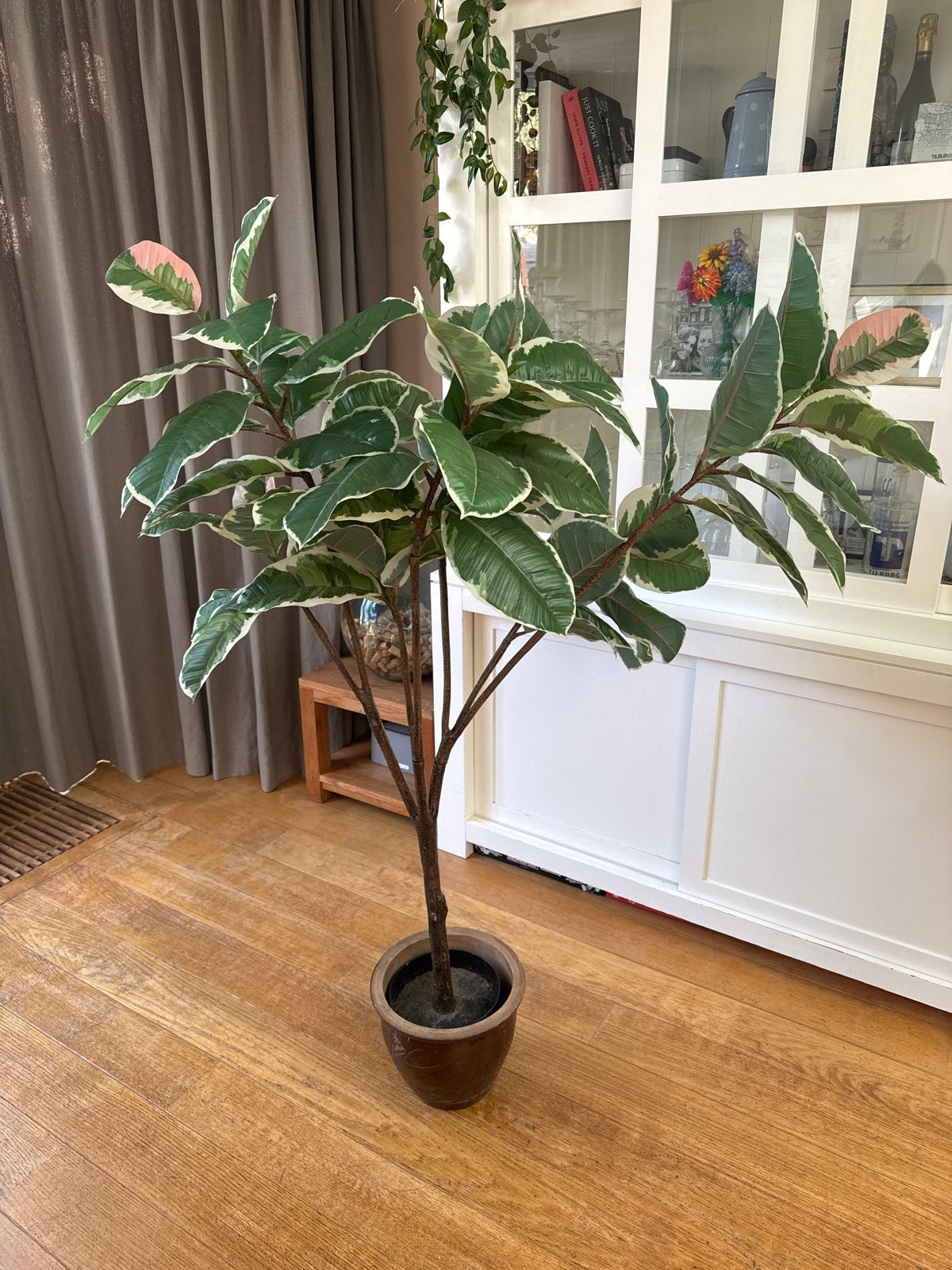 Ficus Elastica Tineke - kunstplant, Ophalen, Groen, Kunstplant, 150 cm