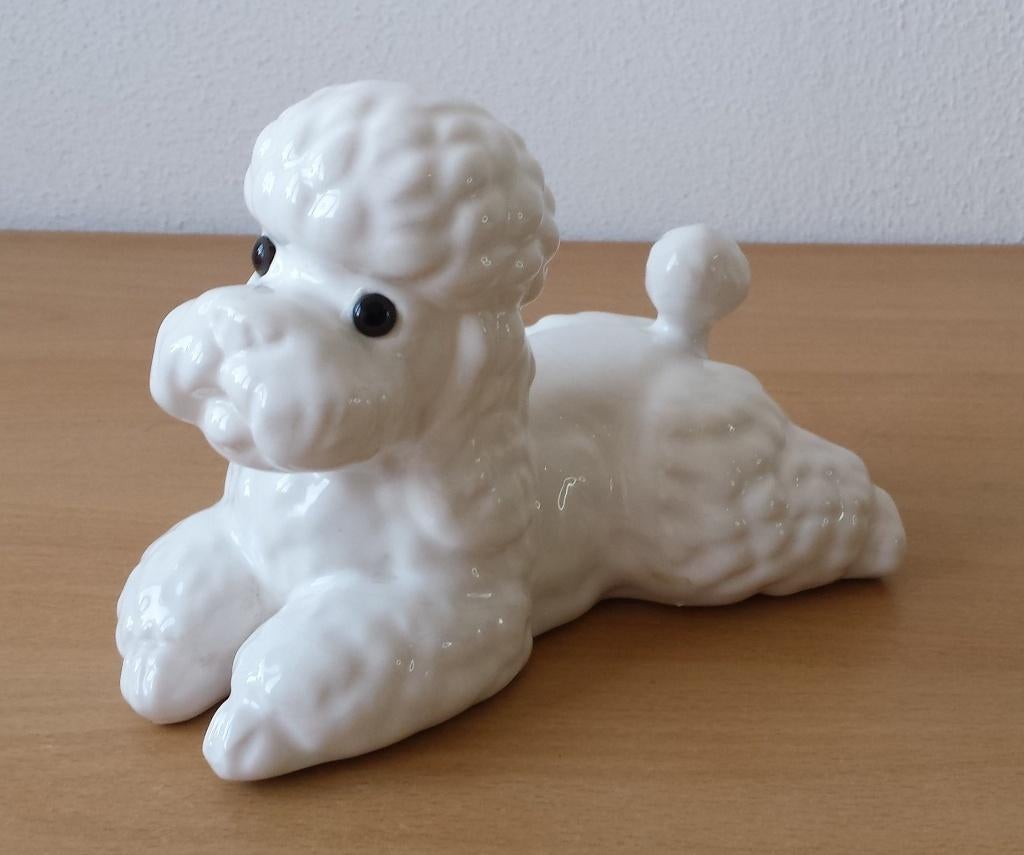 Wit Beeld Liggende Poedel / Hond - jaren 80, Ophalen of Verzenden, Gebruikt, Dier