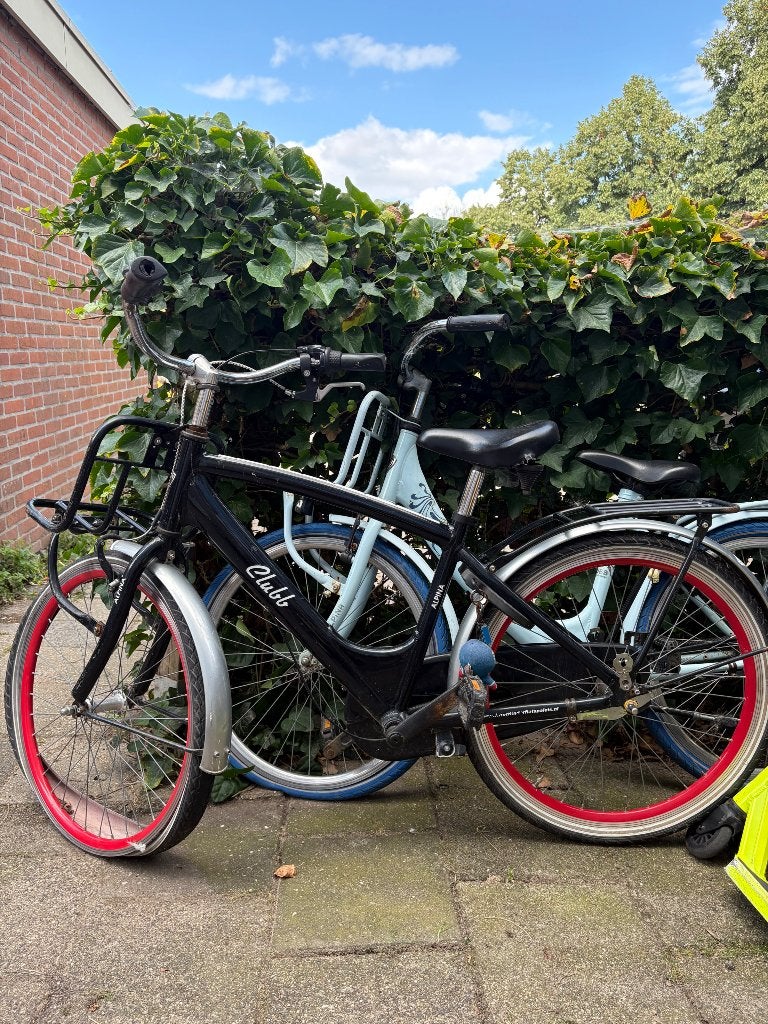 Alpina Clubb meisje/jongen 24”, Ophalen, Velgrem, Alpina, Versnellingen