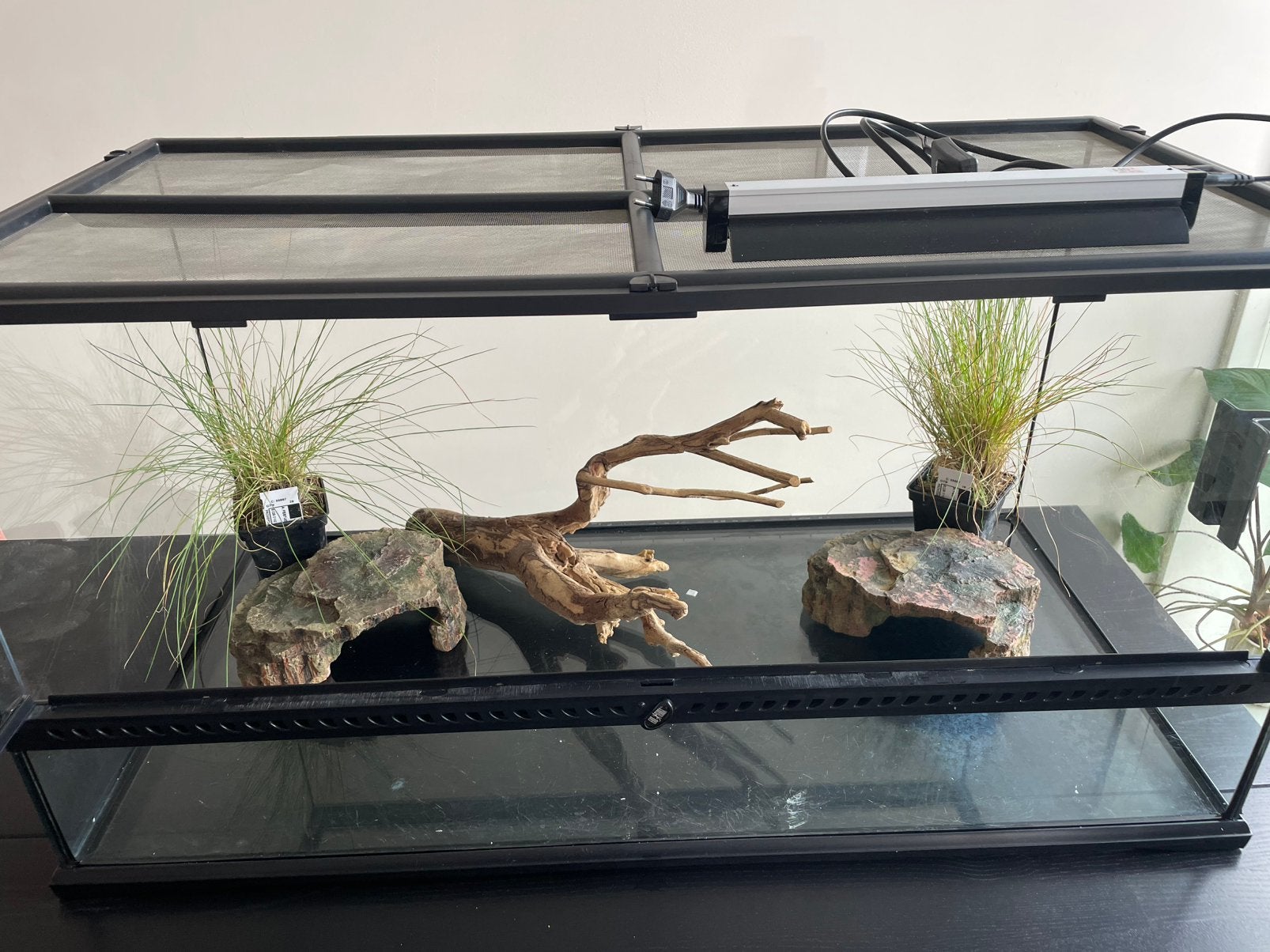 Exo Terra Terrarium Large Wide | 90x45x45 cm, Ophalen, Gebruikt, Terrarium of Paludarium