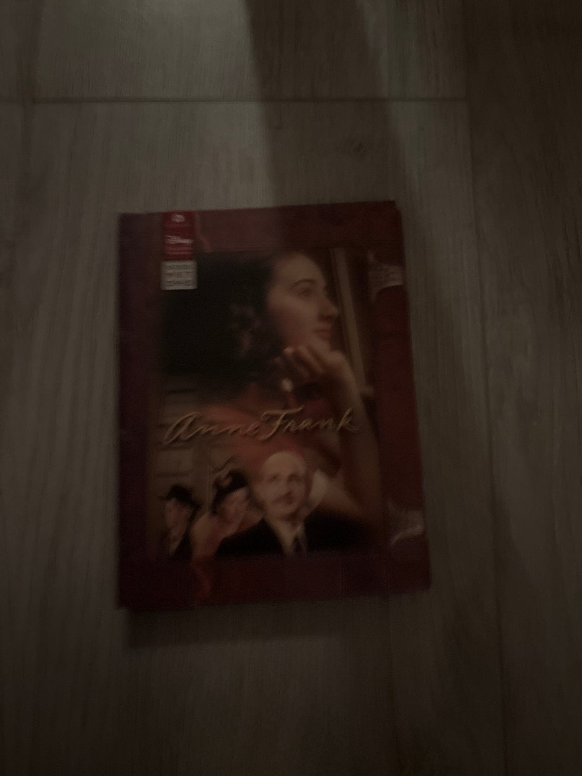 Anne Frank - De Biografie (DVD), Gebruikt, Vanaf 12 jaar, Inclusief doosje, Verzenden