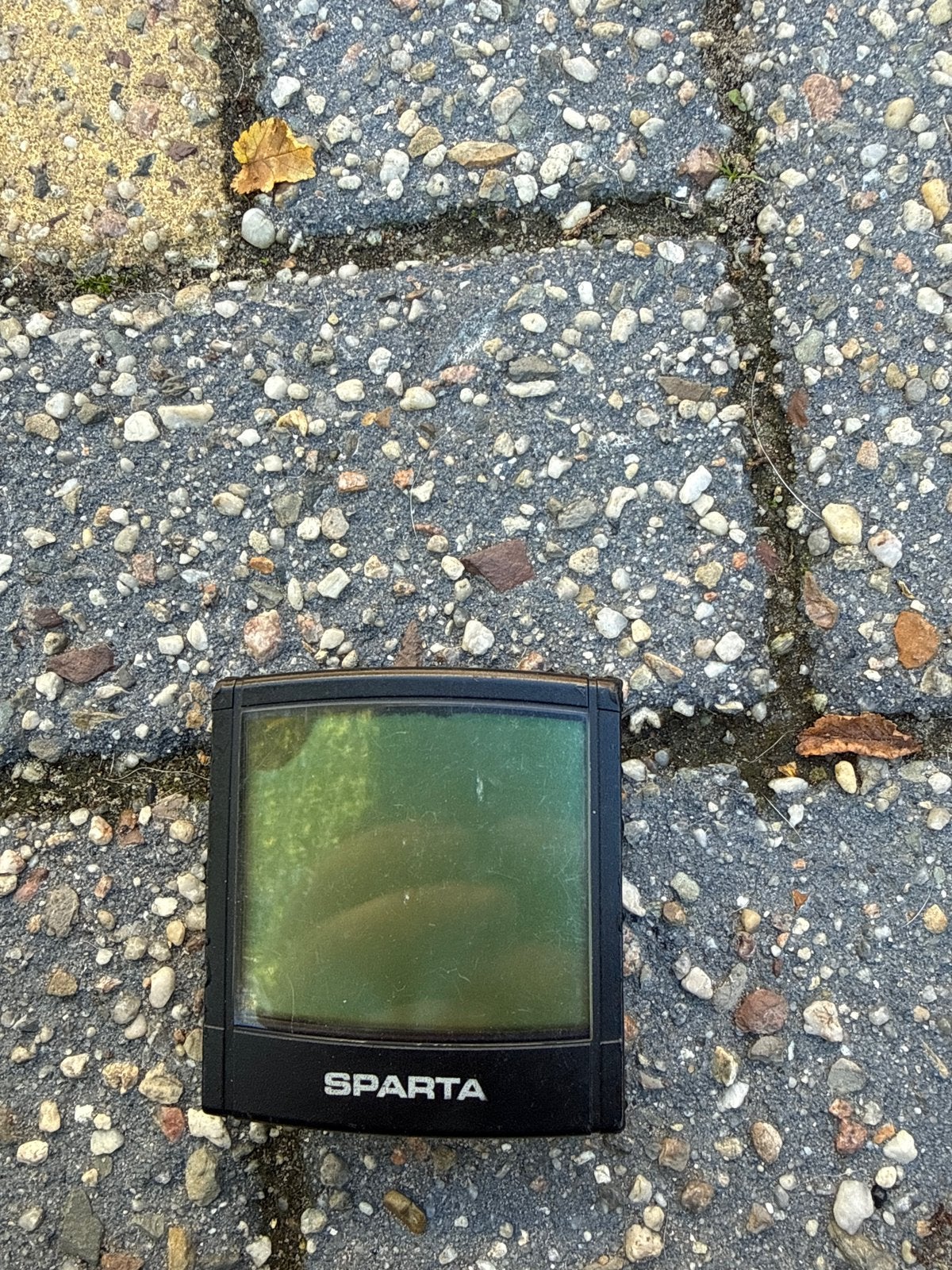 Sparta ion display gezocht, Fietsen en Brommers, Ophalen, Zo goed als nieuw