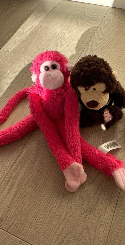Apenheul knuffelapen - set van 2, Gebruikt, Overige merken, Ophalen of Verzenden, Met label