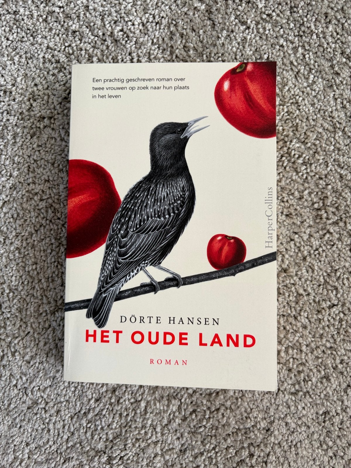 Het Oude Land - Dörte Hansen (Roman), Ophalen of Verzenden, Zo goed als nieuw, Nederland