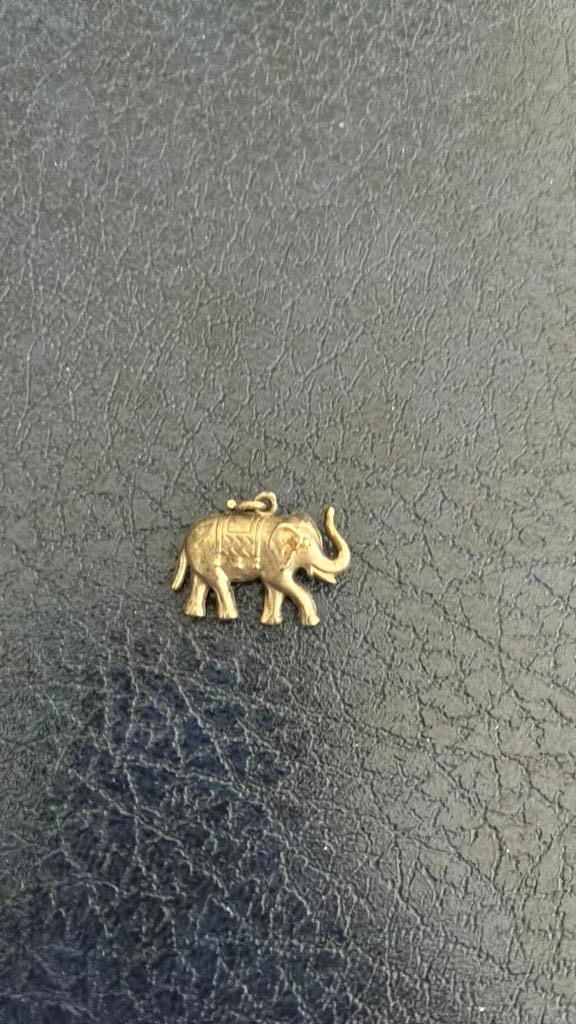925 sterling zilver hanger olifant, Gebruikt, Ophalen of Verzenden, Zilver, Dier
