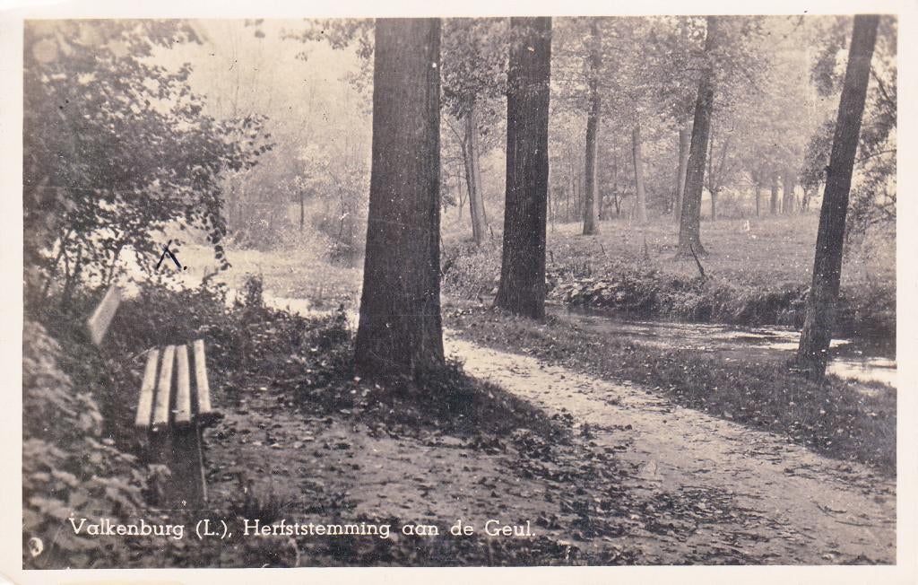 05832 Valkenburg - Herfststemming aan de Geul - gel. 1943, Verzenden, 1940 tot 1960, Gelopen, Limburg
