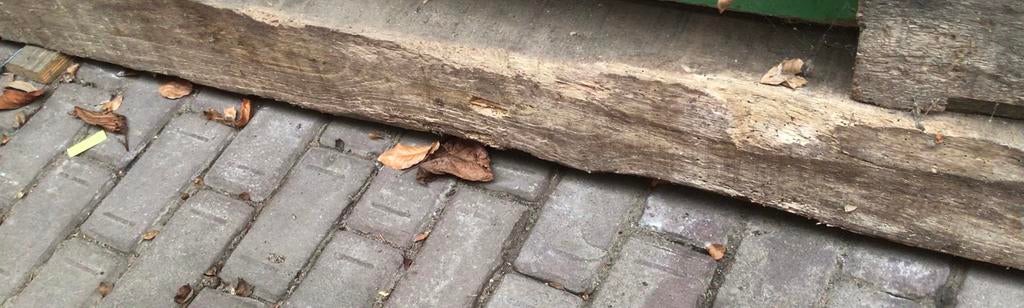 Eikenhouten onberwerkte biels., Ophalen, Zo goed als nieuw, Hout, Biels