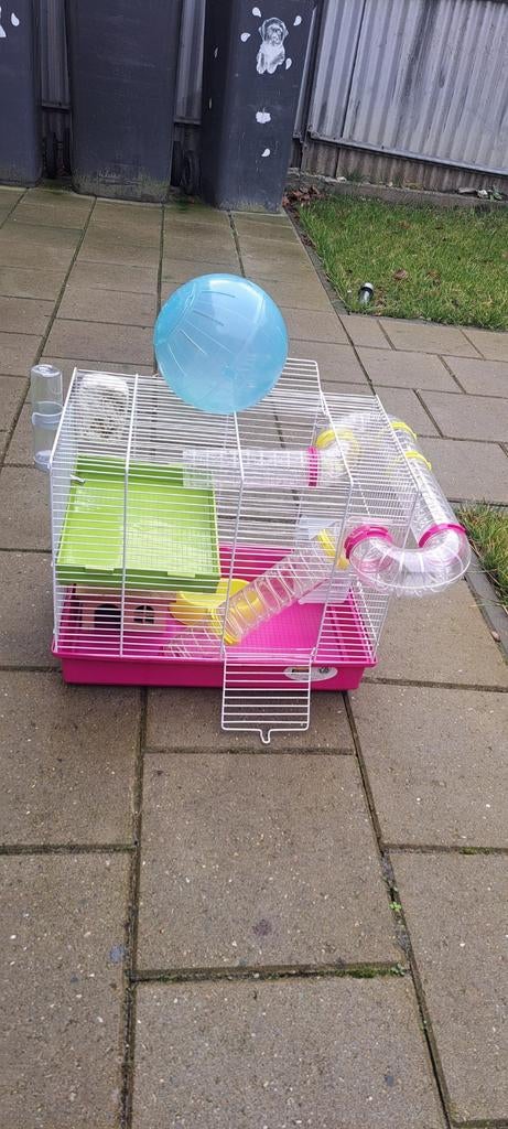 Hamsterkooi inclusief alles, Dieren en Toebehoren, Januari, Geslacht onbekend, Hamster