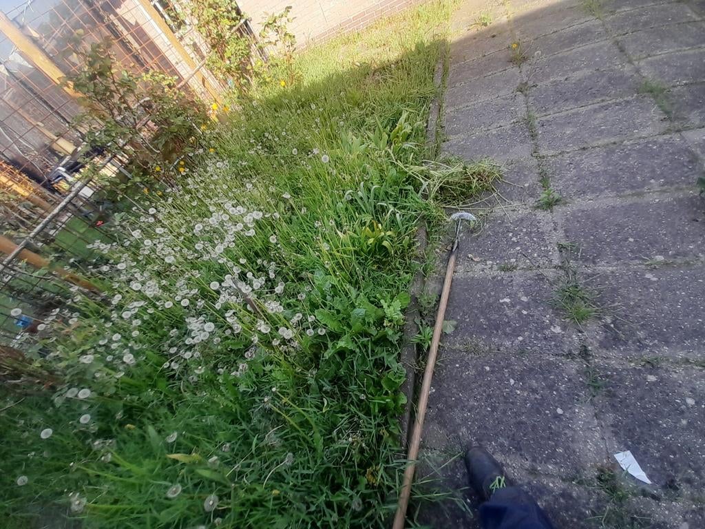 Foto 9 van Tuinman