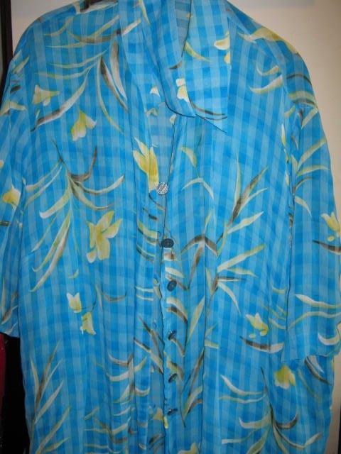 Chalou blouse, Blauw, Blouse of Tuniek, Chalou, Ophalen of Verzenden