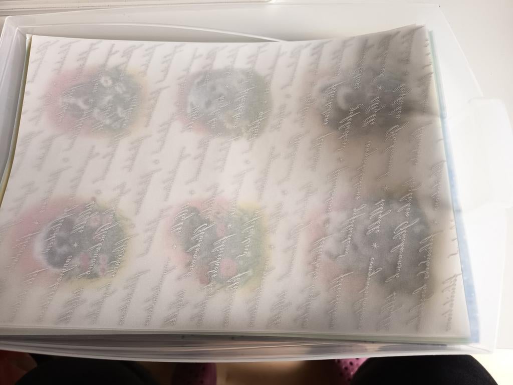 Vellum Papier voor Scrapbooking, Ophalen, Zo goed als nieuw, Papier of Karton, Overige merken