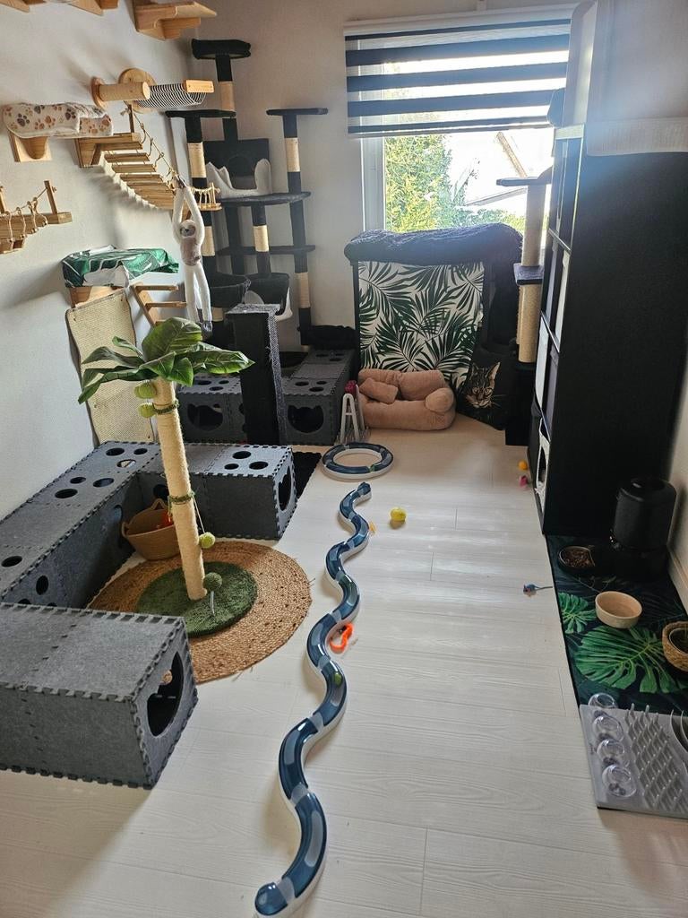 Kattenoppas aangeboden(in ons eigen huis), Diensten en Vakmensen