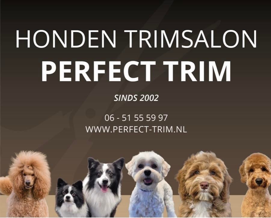 Honden trimsalon perfect trim, Diensten en Vakmensen, Dieren | Honden | Verzorging, Oppas en Les