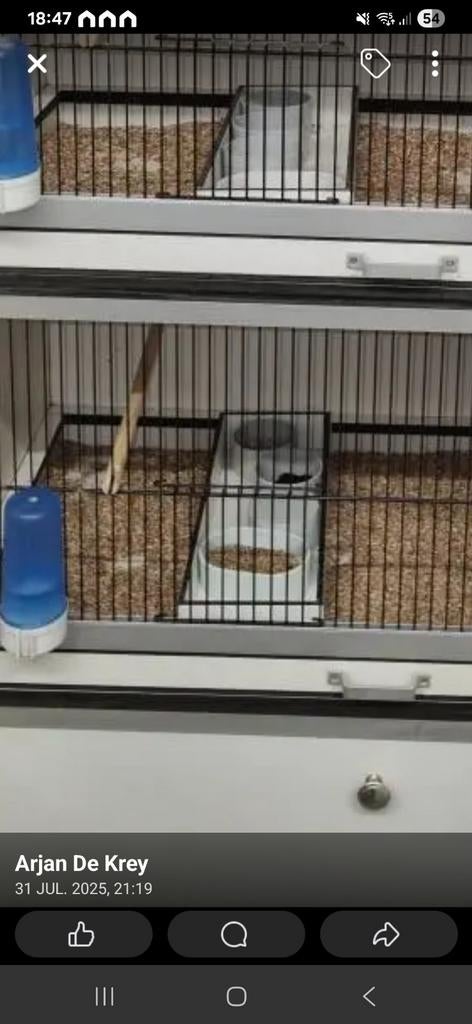 Te koop 6 Nieuwe voerplateau in een koop trespa, Dieren en Toebehoren, Vogels | Hokken en Kooien, Ophalen of Verzenden, Nieuw