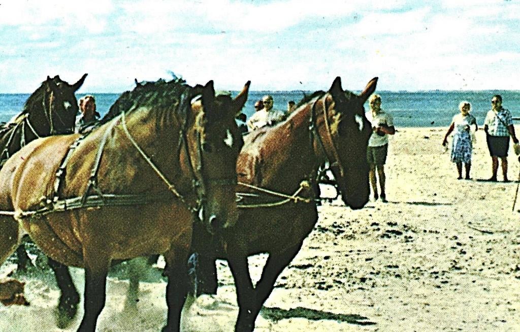 39327	Hollum	Ameland Reddingsboot	Nette oude kaart	Onbeschr, Ophalen of Verzenden, 1940 tot 1960, Ongelopen, Waddeneilanden