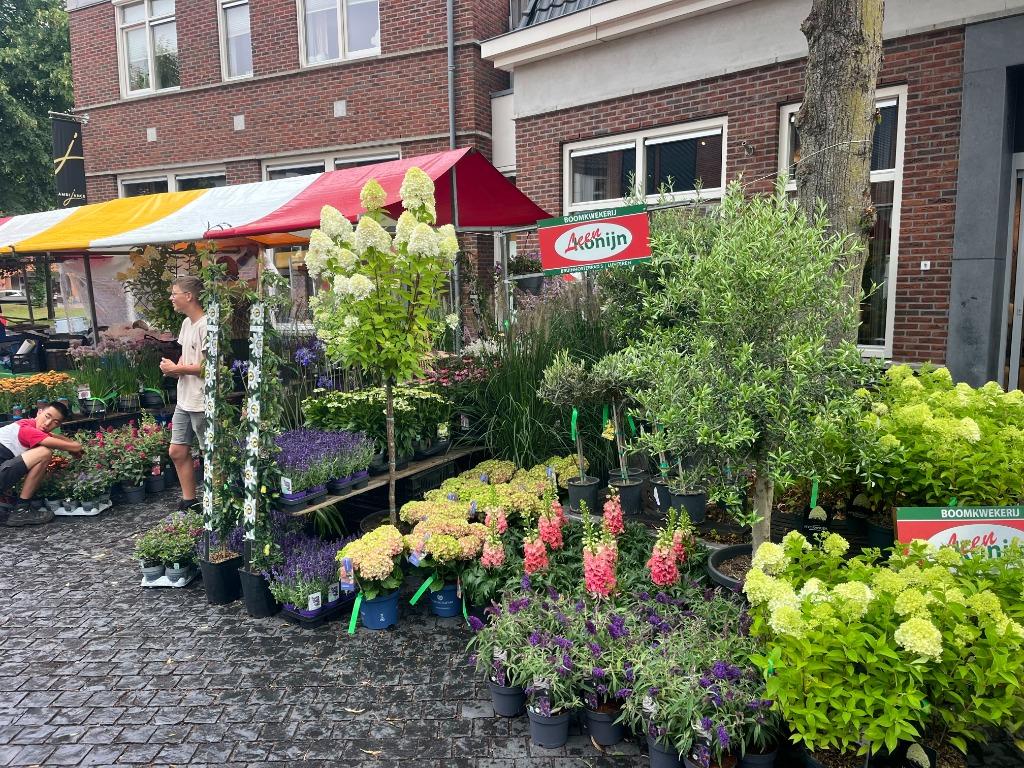 Tuincentrum in Lunteren, Ophalen, Overige soorten, Volle zon
