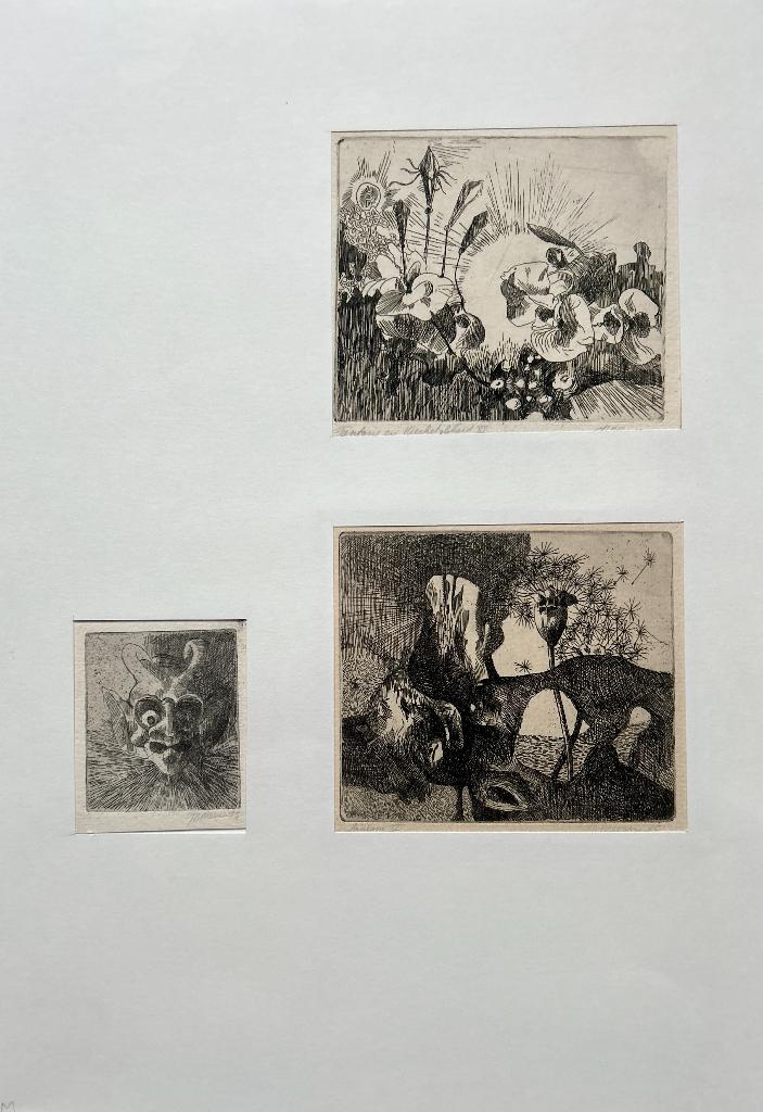 3 etsen Jan Bernard Meinen in pased-partout, Antiek en Kunst, Verzenden
