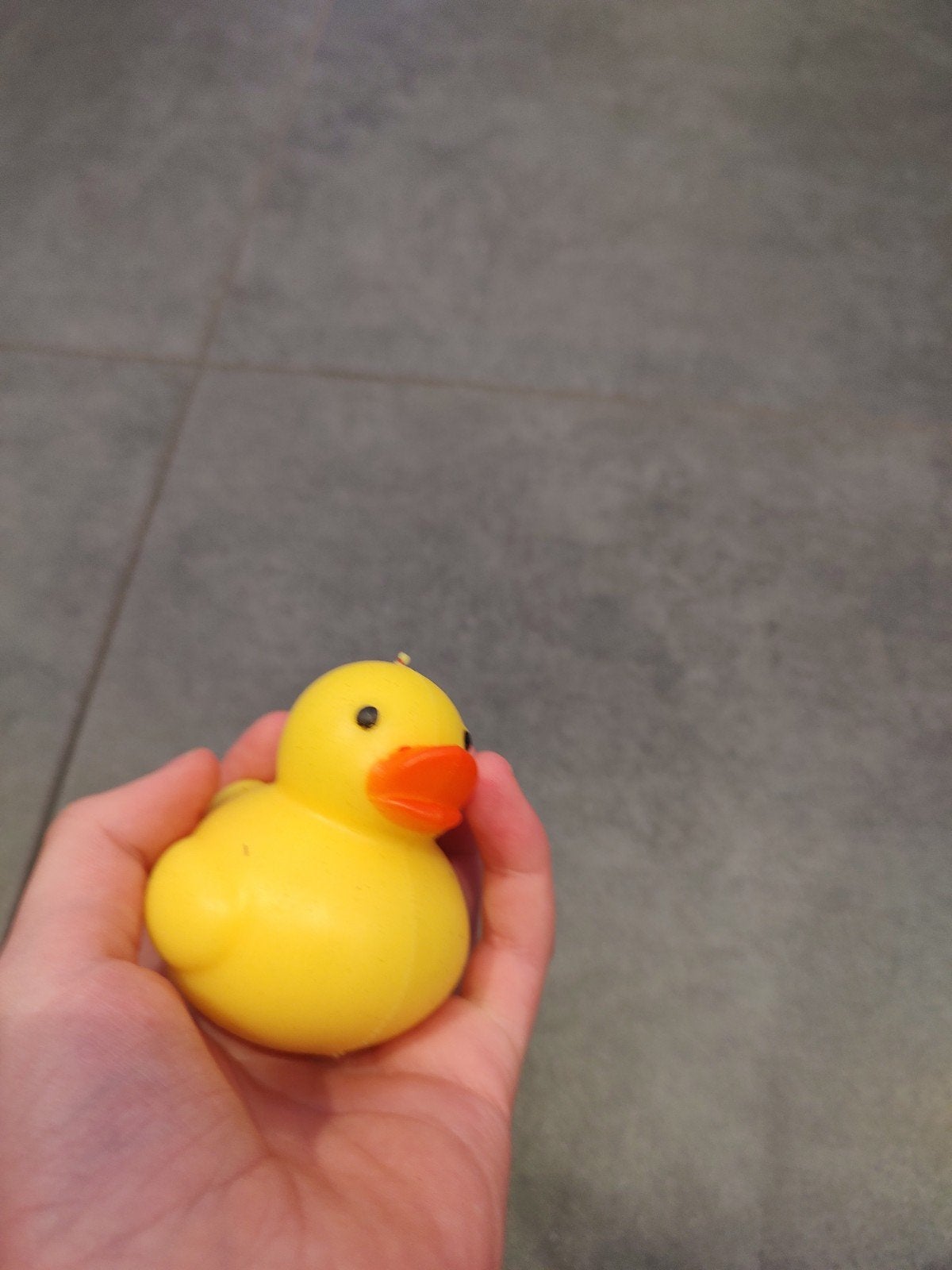 Eenden squishy, Ophalen of Verzenden, Nieuw
