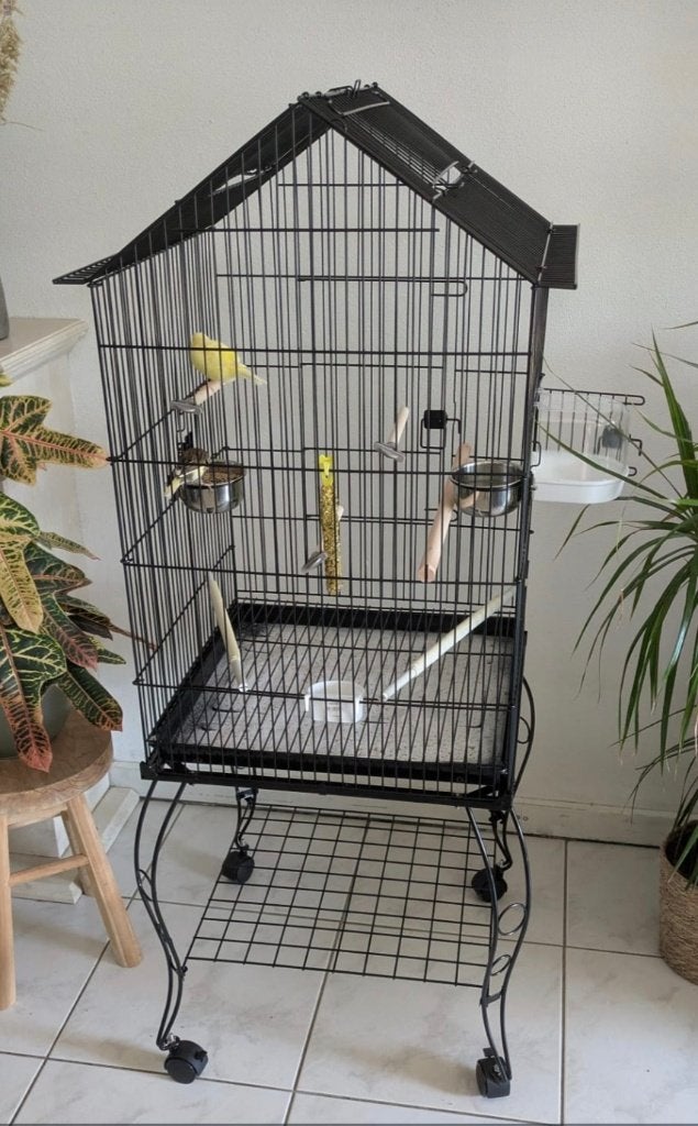 Nieuwe Vogelkooi met 2 kanaries, Ophalen, Zo goed als nieuw, Metaal, Vogelkooi