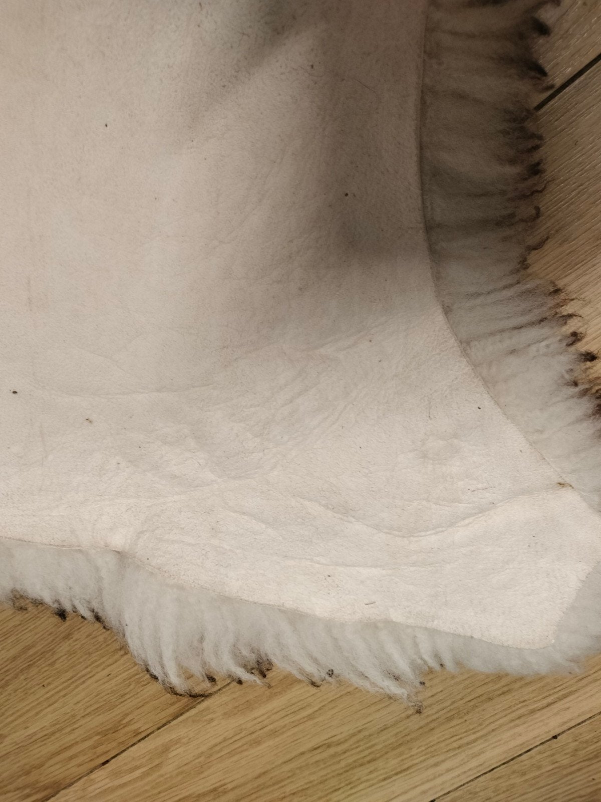 schapen vacht, Ophalen of Verzenden