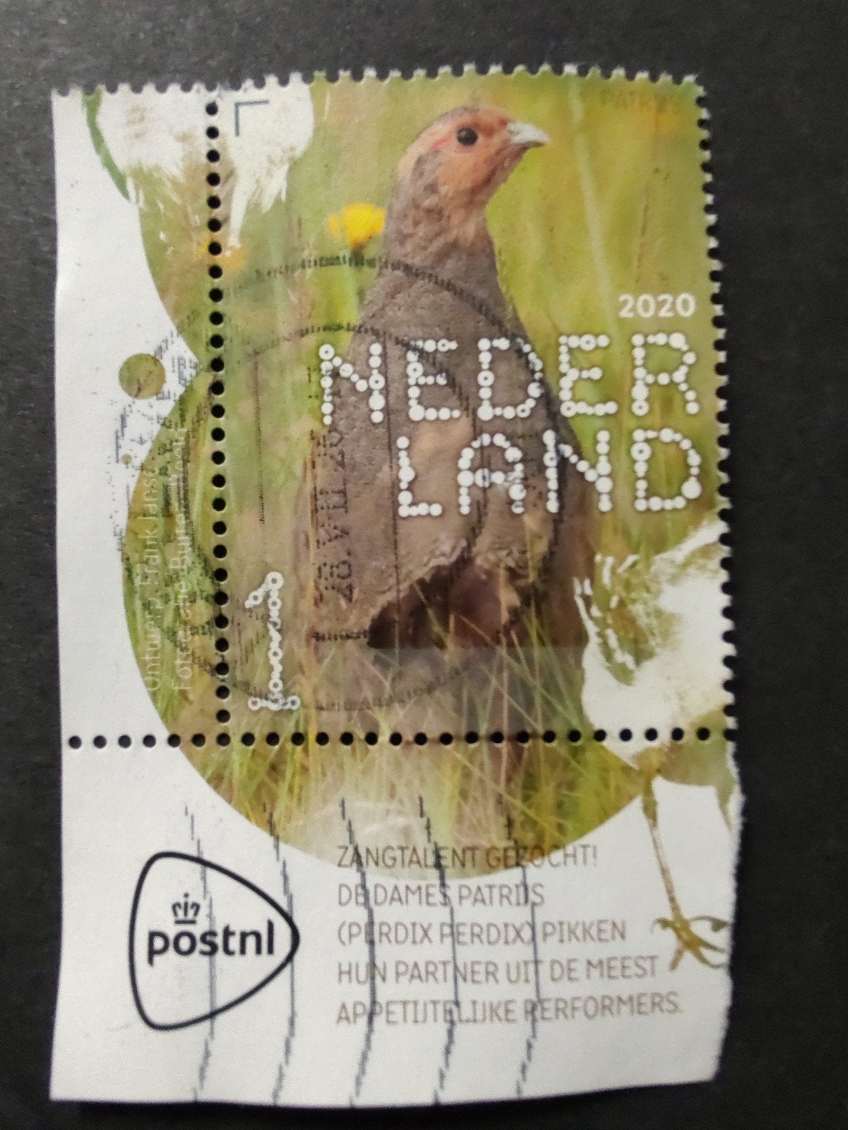 3829 patrijs 2020 beleef de natuur, Verzenden